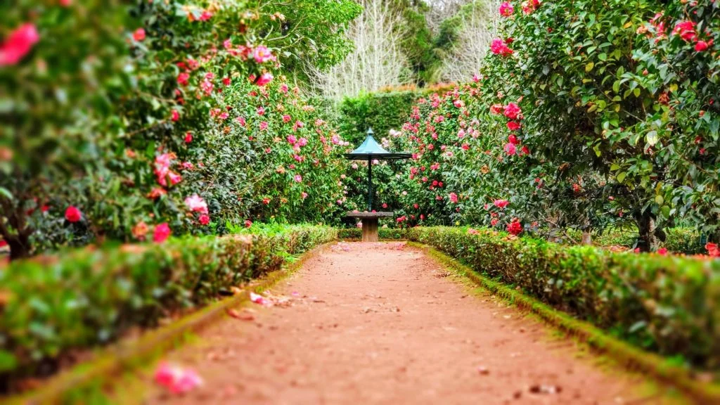 garden path