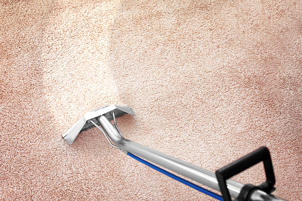 Professional carpet cleaning in London Apartment